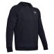 Men's Under Armour Freedom Flag Rival PO Hoodie - 0