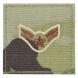 Air Force OCP Rank Patch - 0